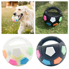 Foxes Dog Toys Soccer Ball - FOXES GROUP
