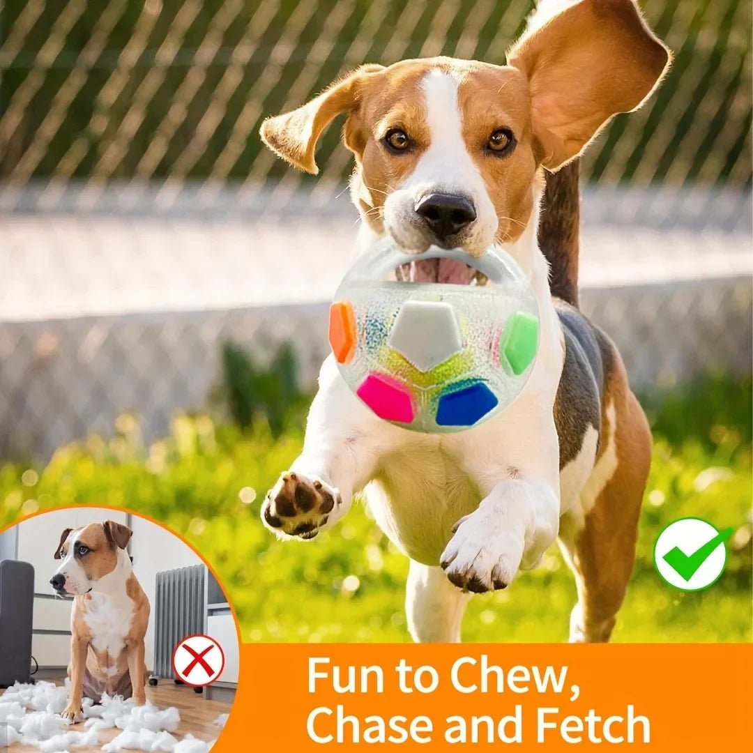 Foxes Dog Toys Soccer Ball - FOXES GROUP