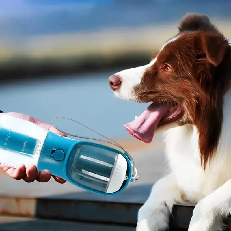 Portable Pet Cup - FOXES GROUP