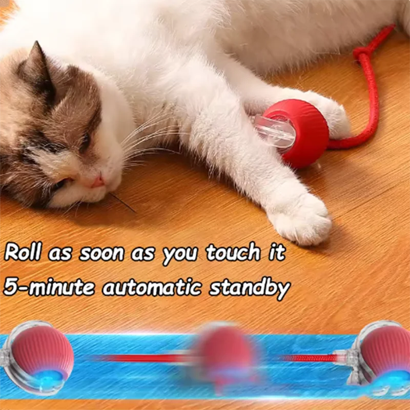 Busy-Day Interactive Cat Toy™ – Keeps Your Kitty Playing While You’re Away