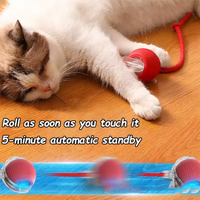 Busy-Day Interactive Cat Toy™ – Keeps Your Kitty Playing While You’re Away