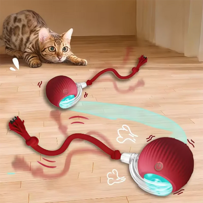 Busy-Day Interactive Cat Toy™ – Keeps Your Kitty Playing While You’re Away