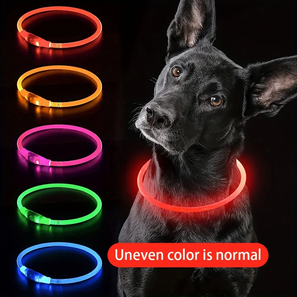 Luminous LED Safety Dog Collar™.