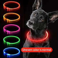 Luminous LED Safety Dog Collar™.