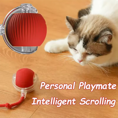 Busy-Day Interactive Cat Toy™ – Keeps Your Kitty Playing While You’re Away