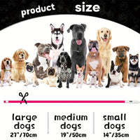 Luminous LED Safety Dog Collar™.