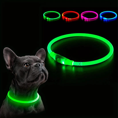 Luminous LED Safety Dog Collar™.