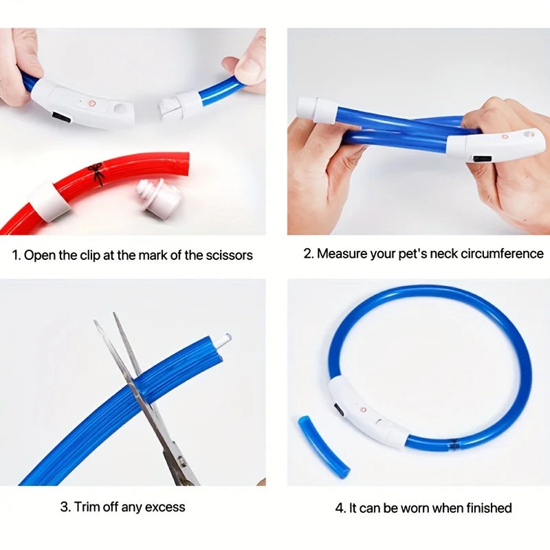 Luminous LED Safety Dog Collar™.