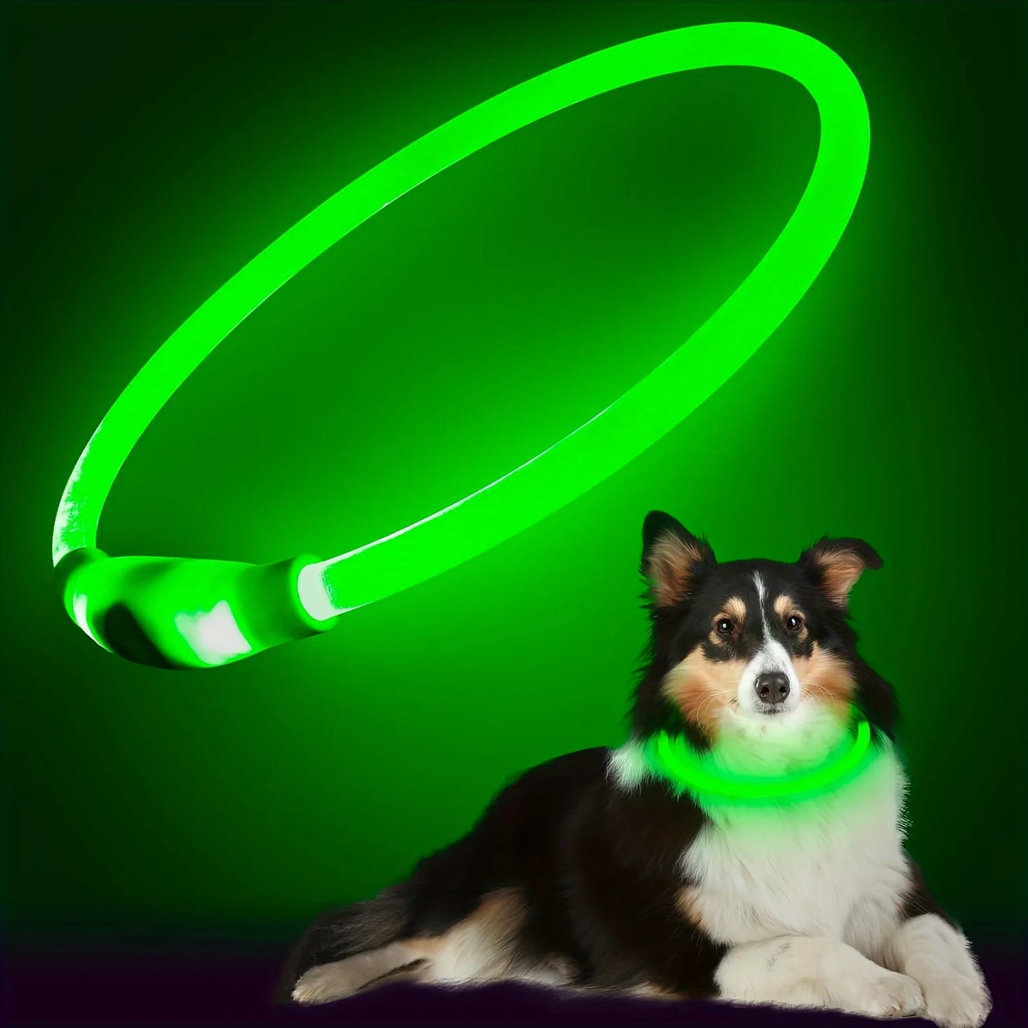 Luminous LED Safety Dog Collar™.