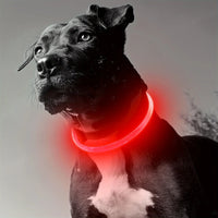 Luminous LED Safety Dog Collar™.